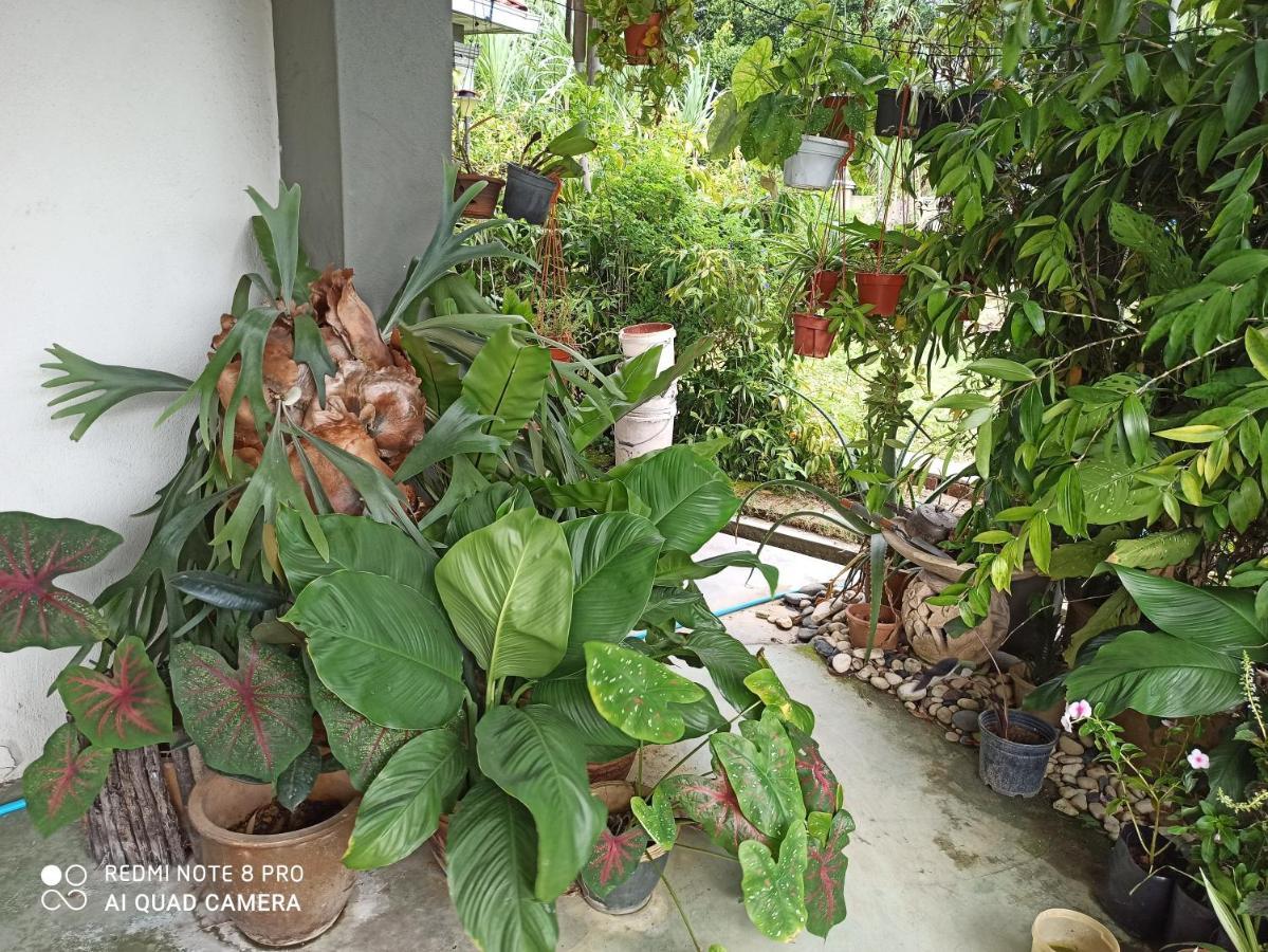 Bdr Bukit Tinggi Klang Tropicana Garden Homestay Екстериор снимка